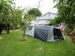 The White Elephant Backpackers, Motueka